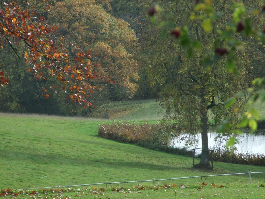 Barnt Green ウッドランズ ベッド＆ブレックファースト Bed & Breakfast エクステリア 写真