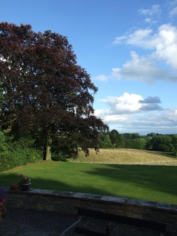 Barnt Green ウッドランズ ベッド＆ブレックファースト Bed & Breakfast エクステリア 写真